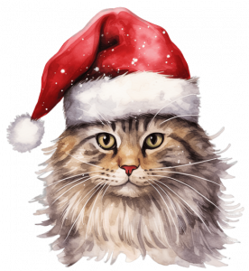 Rede de proteção paga gatos | Telas de proteção para gatos em São Paulo. Empresa certificada de rede de proteção.