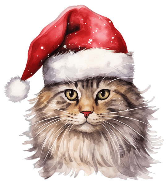 Rede de proteção paga gatos | Telas de proteção para gatos em São Paulo. Empresa certificada de rede de proteção.